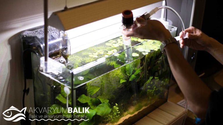 Akvaryum Hava Motoru Seçimi