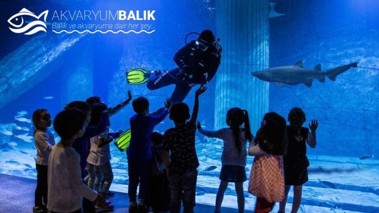 Westpark Funtastic Aquarium İzmir
